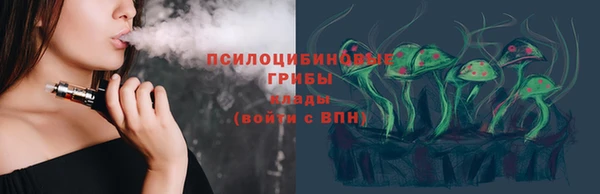 твердый Надым