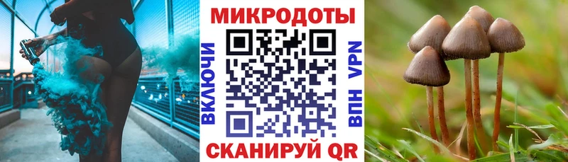 Псилоцибиновые грибы мухоморы  OMG сайт  Тюкалинск 